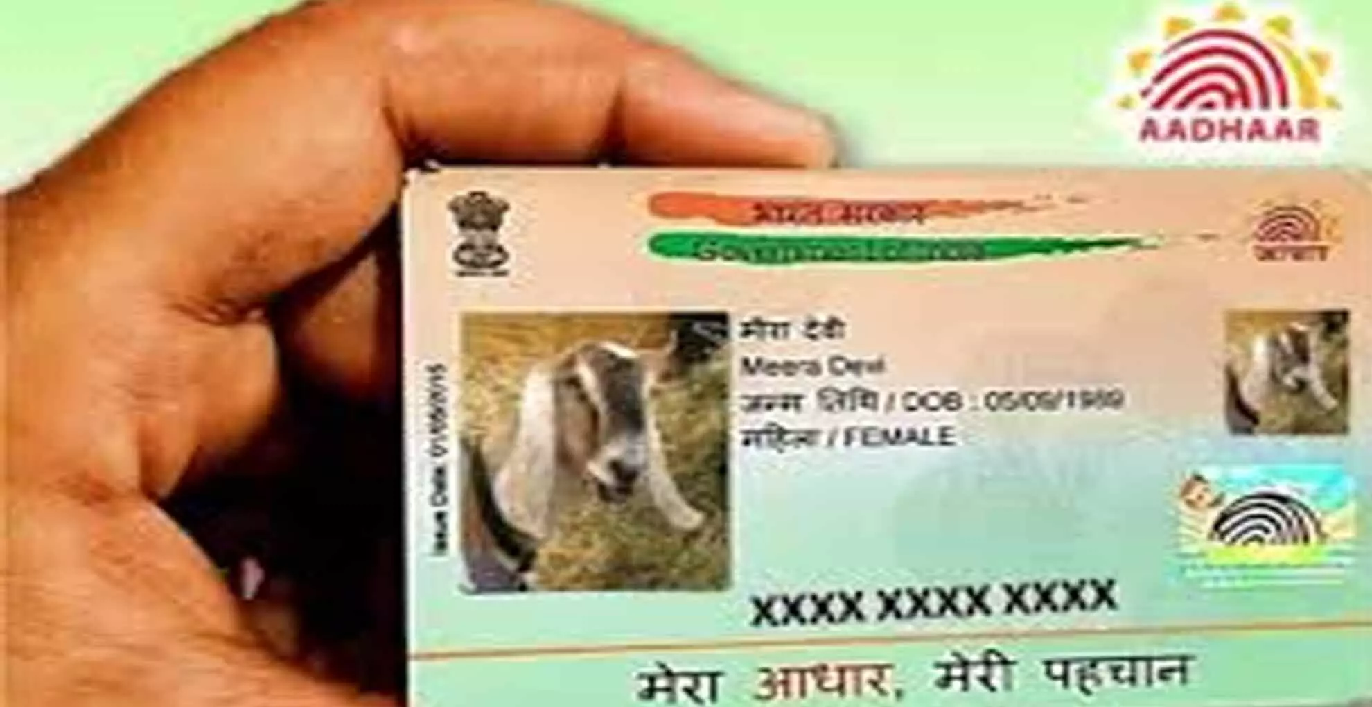 Fake Aadhaar Card  बनाए जानवरों की आंखों और पैरों के निशानों