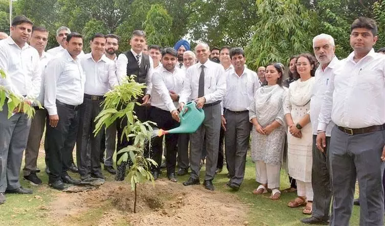 Haryana : पानीपत जिला न्यायालय में 500 पौधे रोपे गए