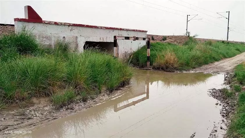 Haryana : फतेहाबाद गांव में रेलवे अंडरपास में पानी भरा होने से वाहन चालक परेशान