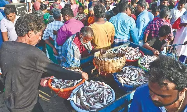 CHENNAI: आज कासिमेदु बाजार में उमड़ी भीड़