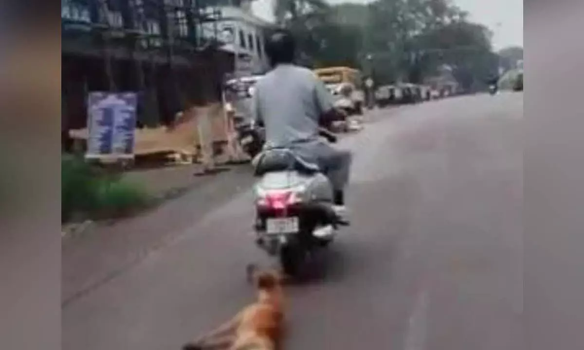 Karnataka: कर्नाटक में एक व्यक्ति ने कुत्ते को दोपहिया वाहन के पीछे घसीटा