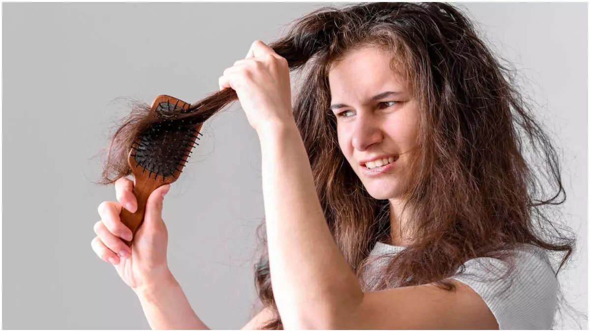 Life Style:  बालों का झड़ना बढ़ जाना रूटीन में शामिल करें