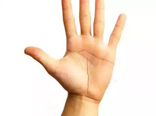 Palmistry: कलाई की रेखा देखकर जाने व्यक्ति का उम्र