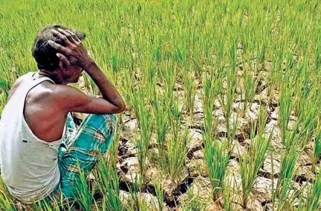 Maharashtra: पिछले 6 महीनों में 1267 किसानों ने किया आत्महत्या