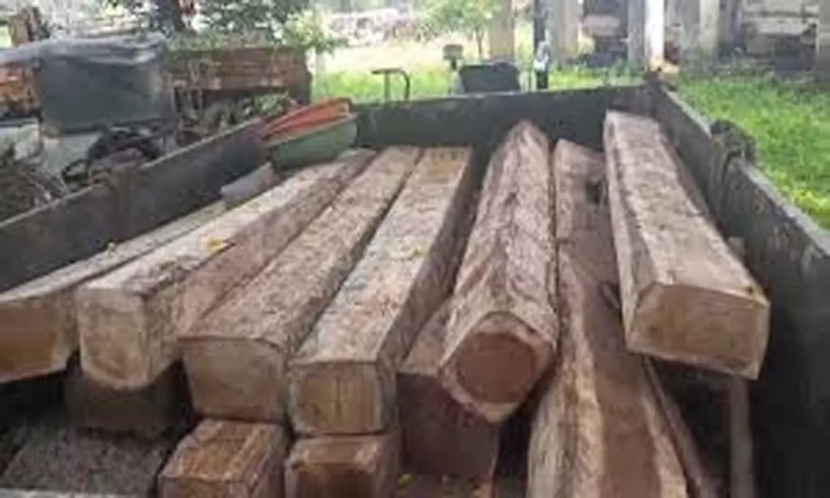 Mancherial में 3.70 लाख रुपये की सागौन की लकड़ी जब्त