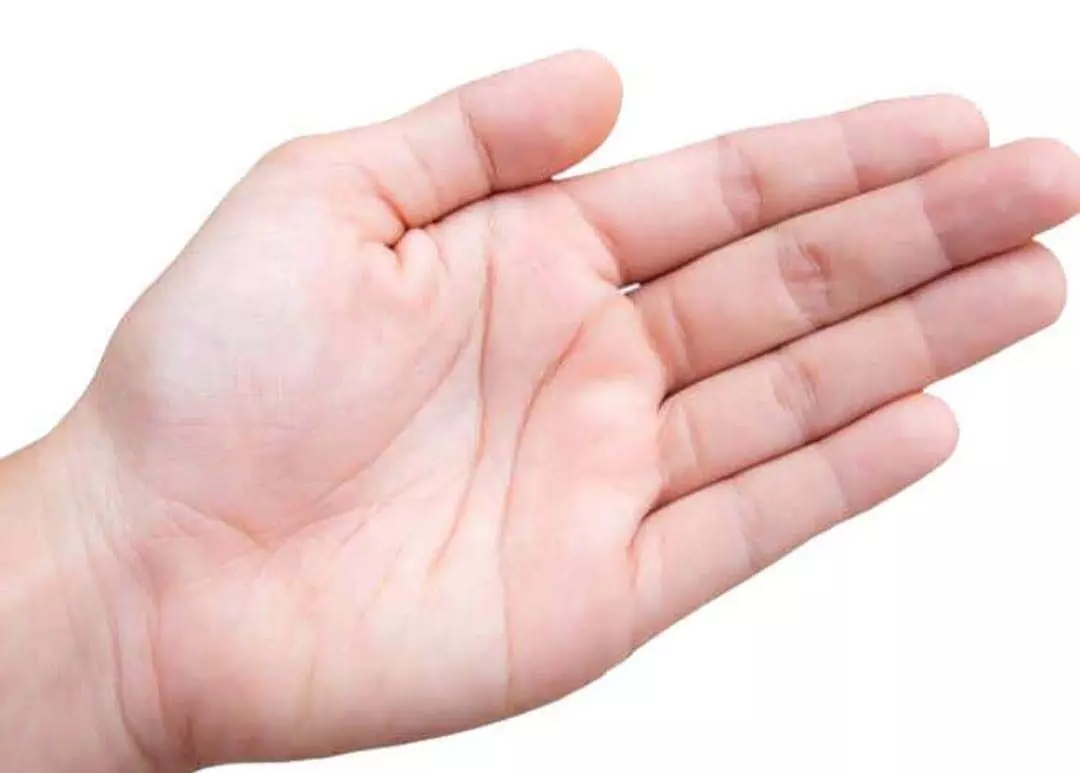 Palmistry: इस उंगली देखकर जाने कितने धनवान होंगे आप