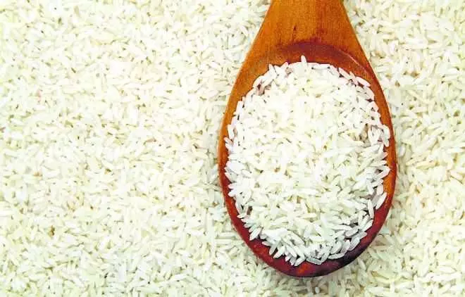 DELHI:बासमती चावल के निर्यात में तेजी से पंजाब, हरियाणा के उत्पादक उत्साहित