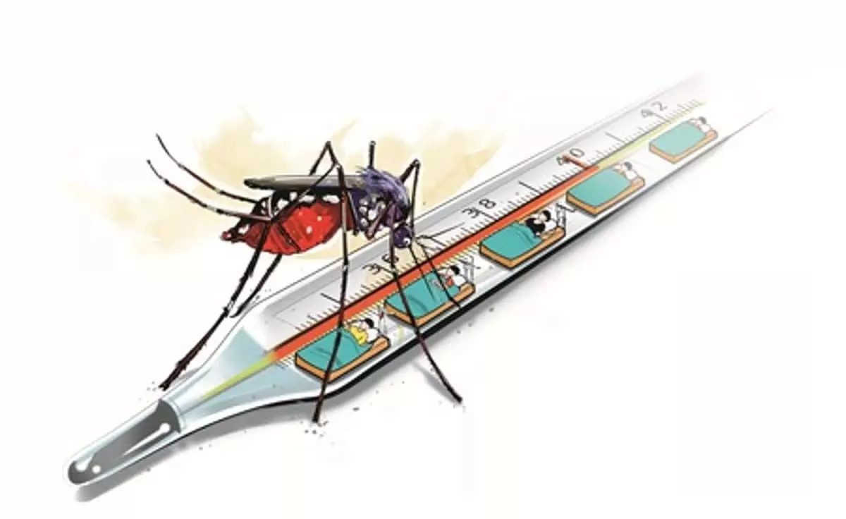 Kerala : कोच्चि के कलमस्सेरी में डेंगू के मामले, पार्षदों में नोकझोंक