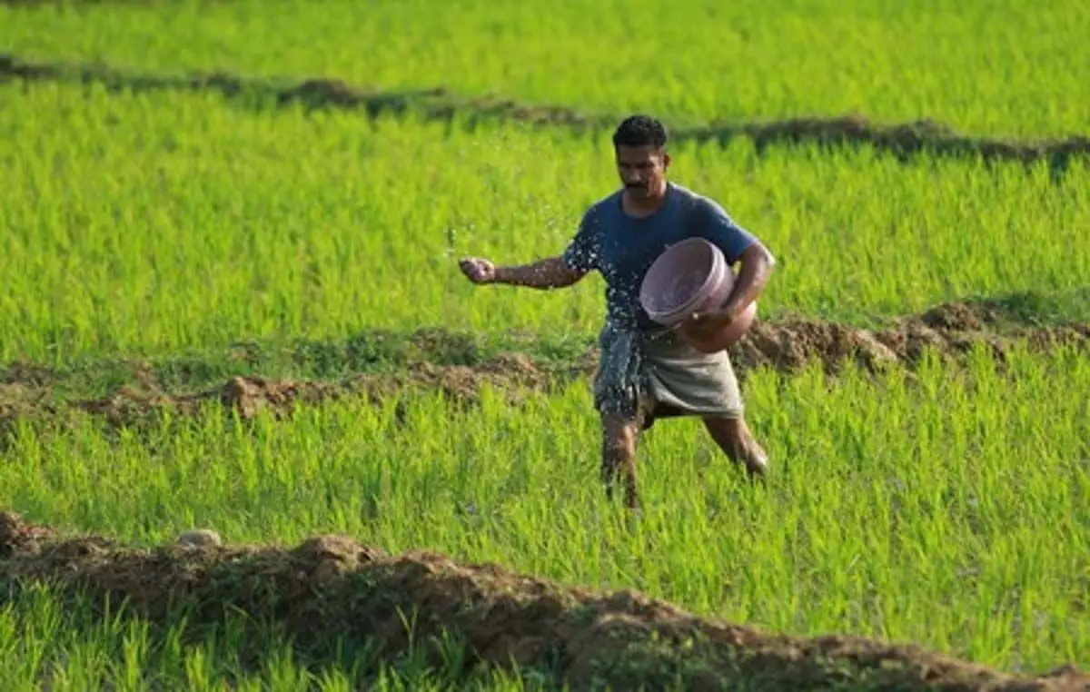 Kerala : केरल सरकार ने किसान उत्पादक संगठनों को बढ़ावा देने के लिए मिशन-मोड पहल शुरू की