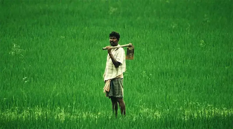 Dharmshala: 2018 के बाद 2.53 लाख किसानों ने प्राकृतिक खेती को अपनाया