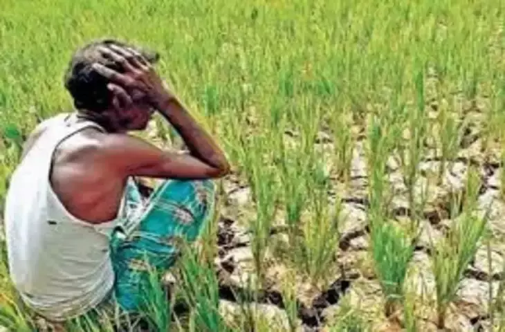 Manali: जिले में बारिश न होने से किसानों-बागवानों की चिंता बढ़ गई