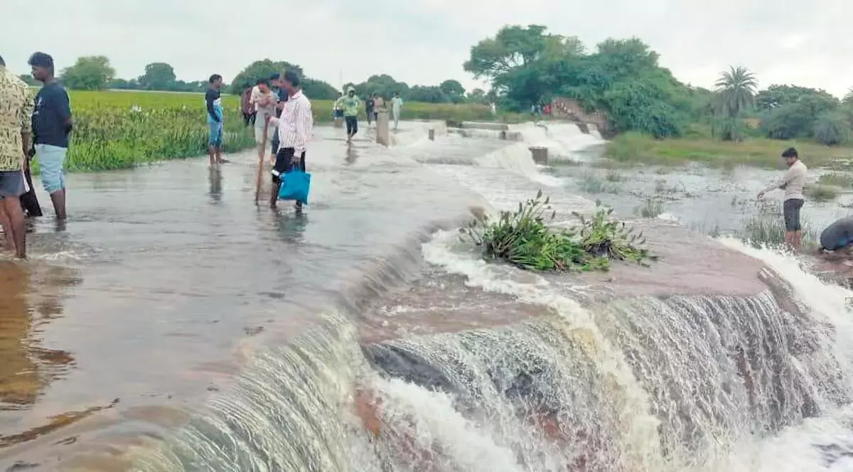 Telangana के जिलों में भारी बारिश के कारण तालाब, नदियां उफान पर, जल जमाव की खबर