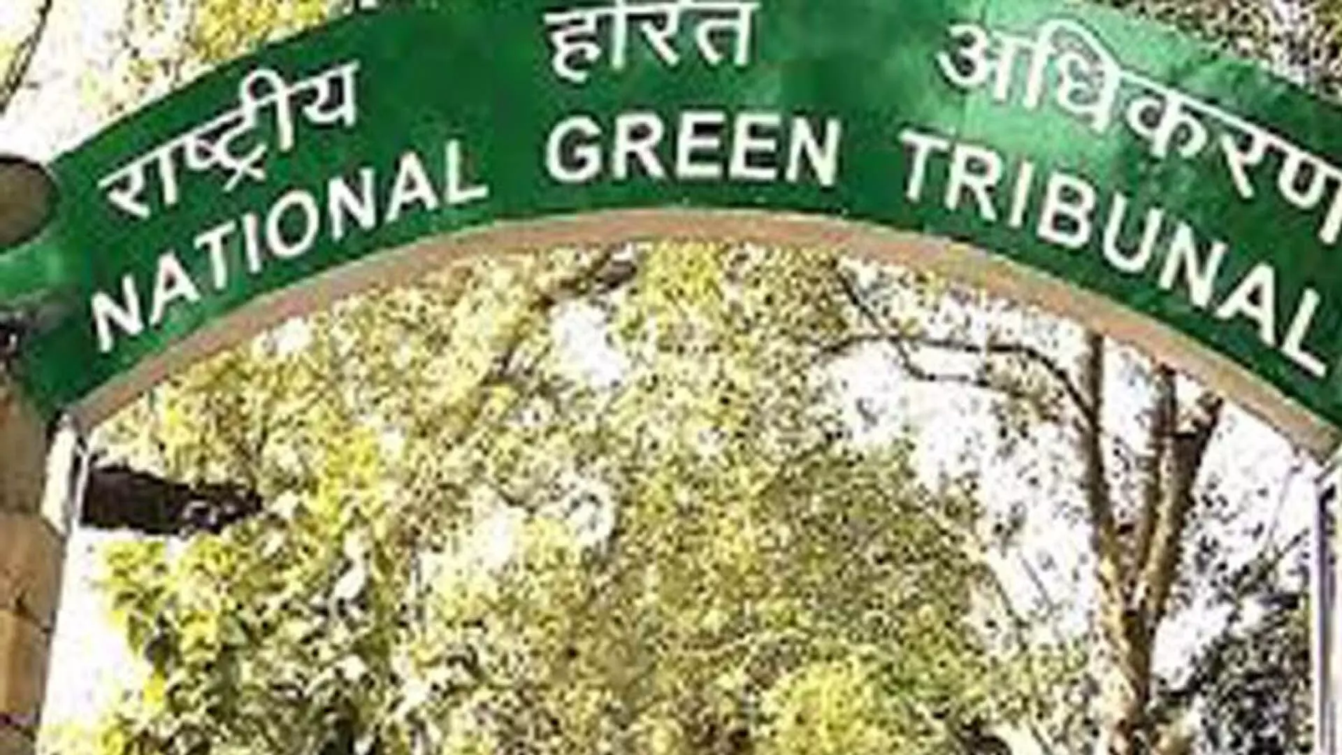 Odisha: एनजीटी ने खुर्दा में पेड़ों की कटाई पर रिपोर्ट मांगी
