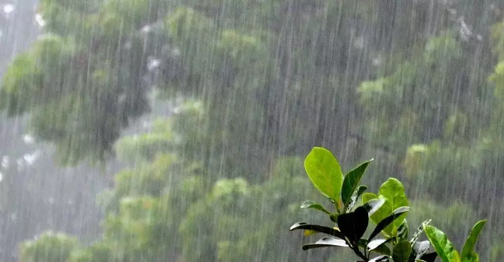 WEATHER: प्रदेश में कल से भारी बारिश की चेतावनी