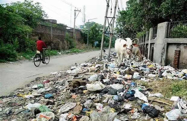 Jalandhar: खराब सुविधाओं से फोकल प्वाइंट के व्यापारी नाराज
