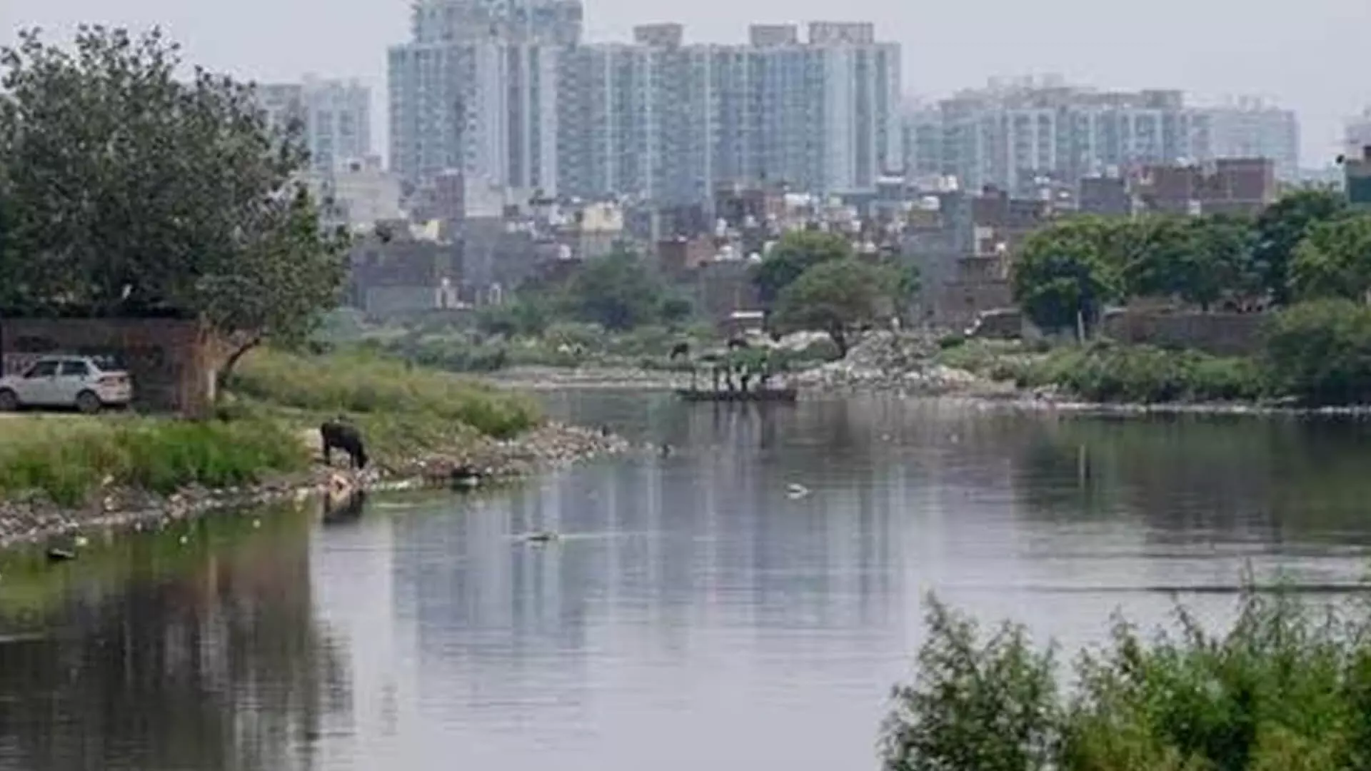 noida: तालाबों पर अतिक्रमण को लेकर प्रशासन ने एनजीटी को सौंपी कार्रवाई रिपोर्ट