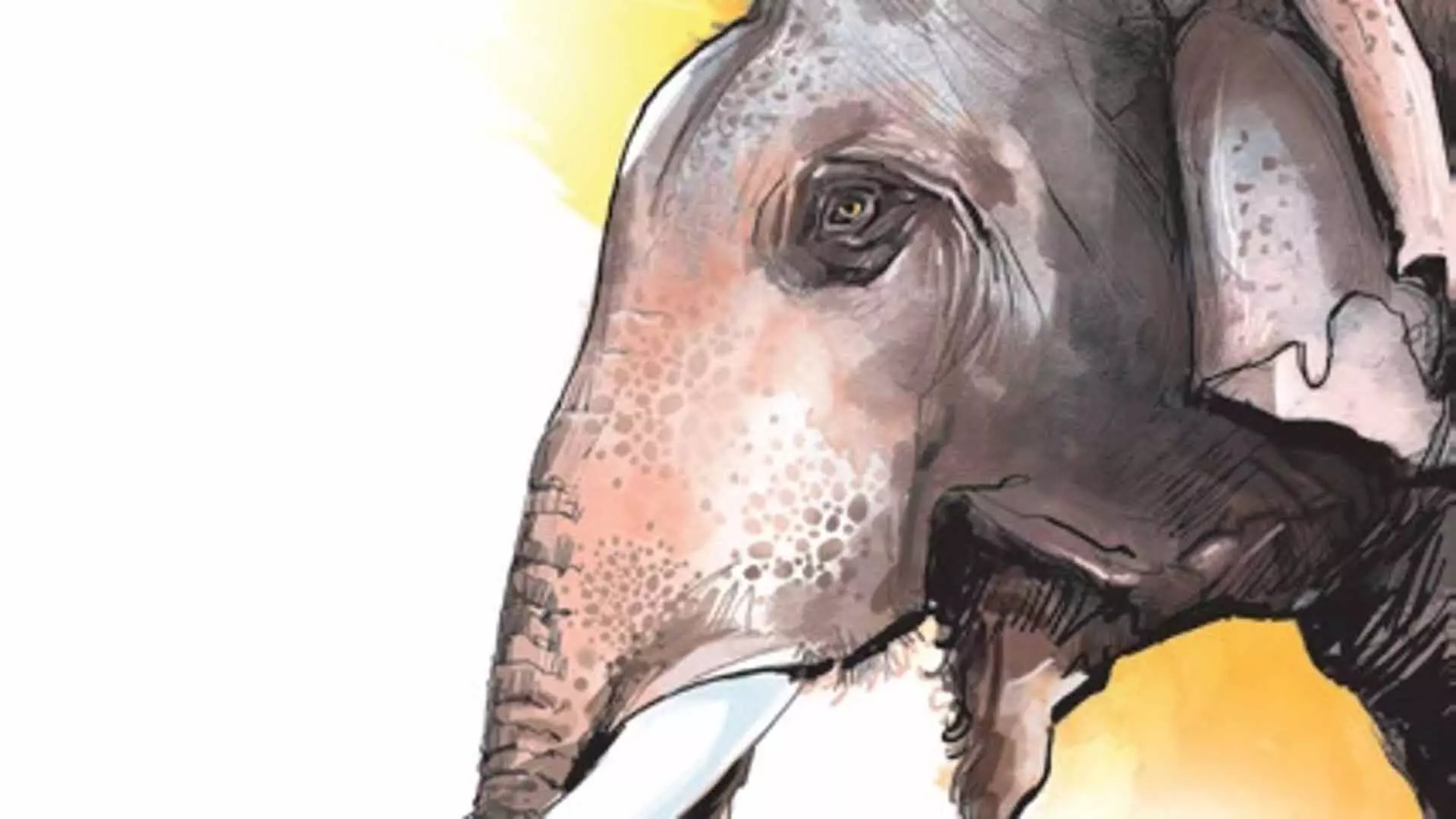 Odisha News: ओडिशा ने इस वर्ष प्रत्येक सप्ताह दो हाथियों को खोया