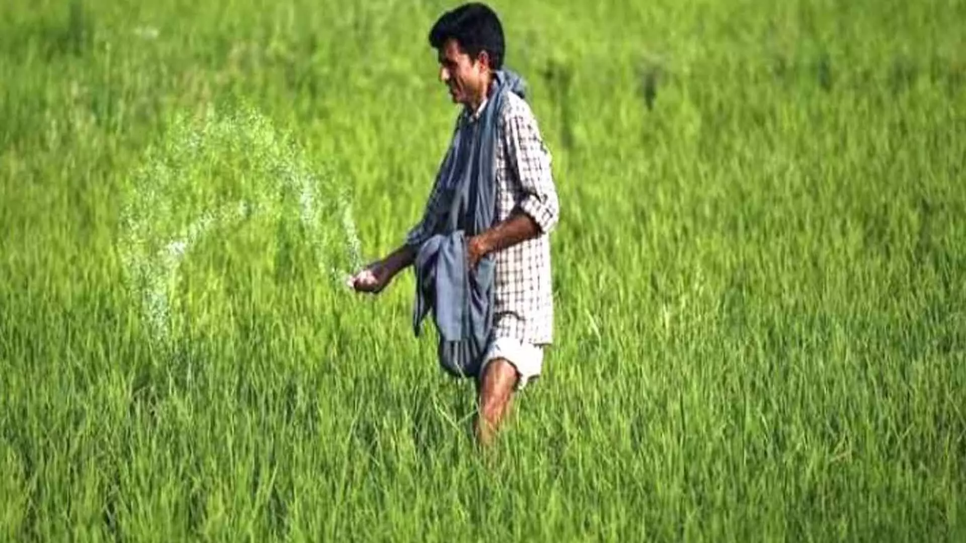 Delhi News: आर्थिक सर्वेक्षण में कृषि सुधारों पर तत्काल जोर, विकास में आने वाली बाधाओं का हवाला