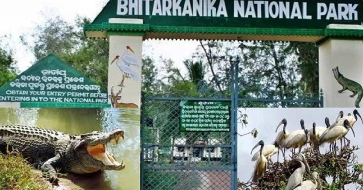 Odisha : भितरकनिका राष्ट्रीय उद्यान 1 अगस्त से आगंतुकों के लिए फिर से खुलेगा