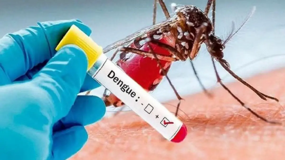 Chapra: प्रदेश में डेंगू मरीजों का आंकड़ा पहुंचा 200 पार