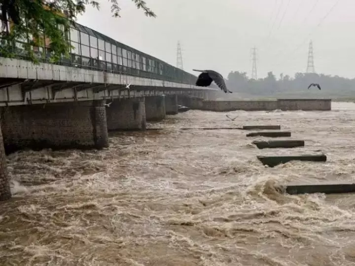 Collector ने अधिकारियों को बाढ़ के स्तर पर कड़ी निगरानी रखने को कहा