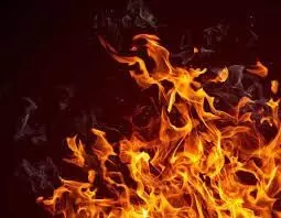 Haryana : फरीदाबाद इमारत में लगी आग, कोई हताहत नहीं