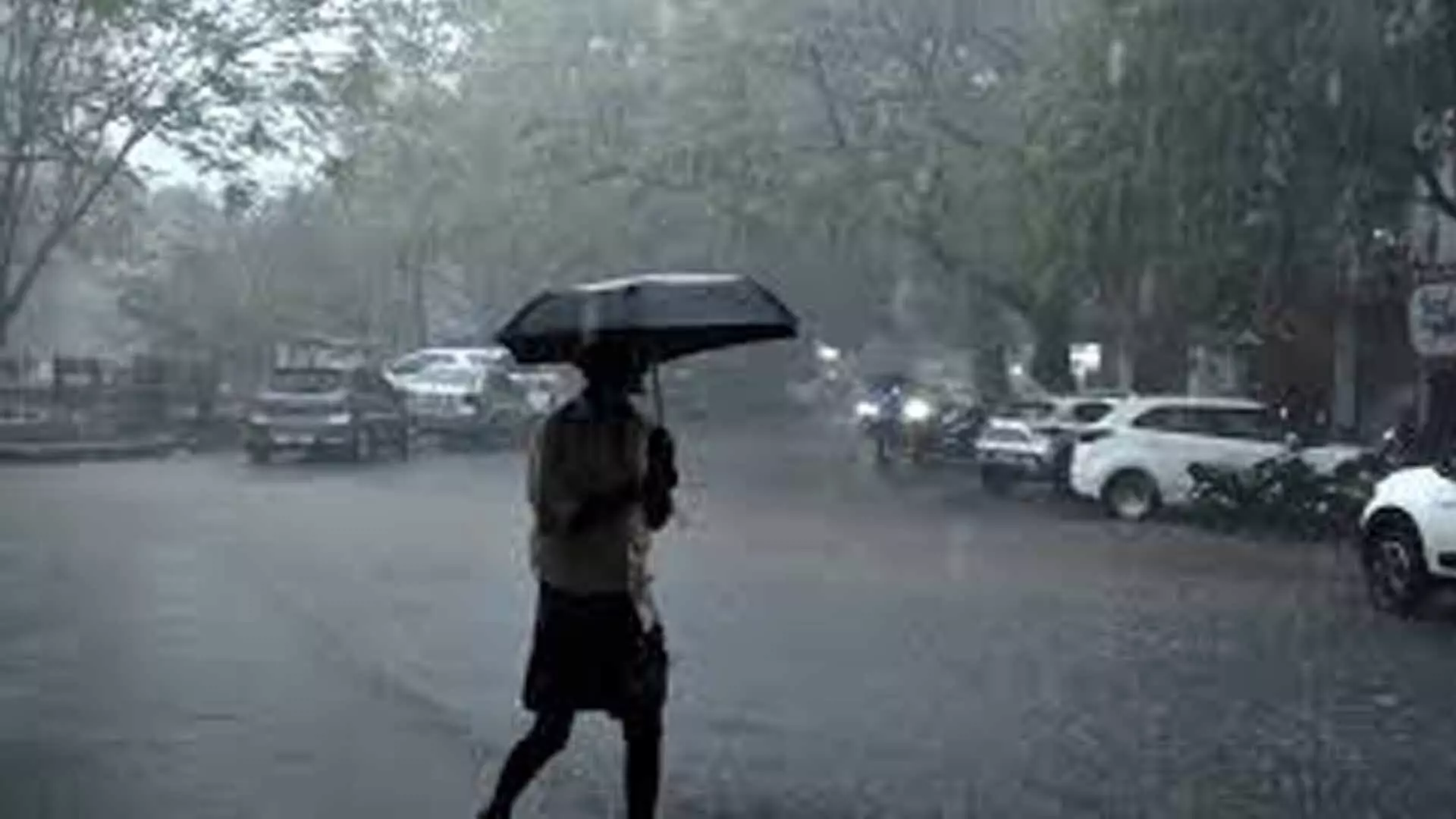 Tamil Nadu News: नीलगिरी में भारी बारिश के कारण बाढ़ की चेतावनी जारी