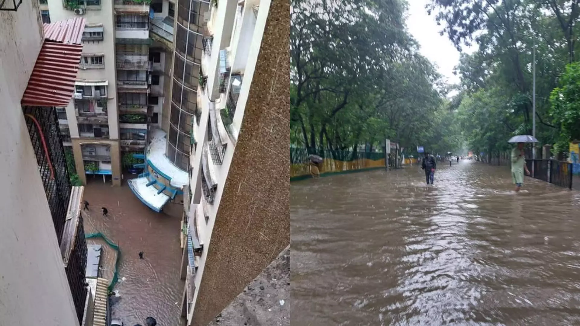 Mumbai में बाढ़: जलभराव के लिए पर्यावरण की अनदेखी को जिम्मेदार ठहराया गया
