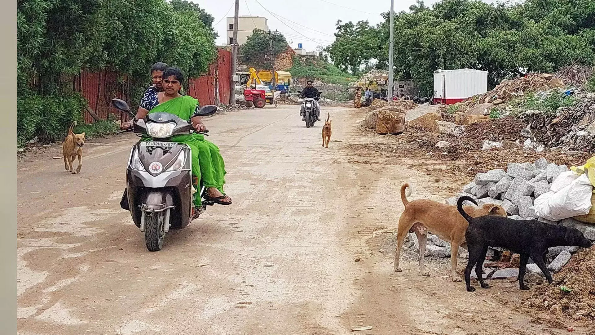 Hyderabad: ‘कुत्तों को मारने’ के प्रस्ताव पर कार्यकर्ताओं की आलोचना