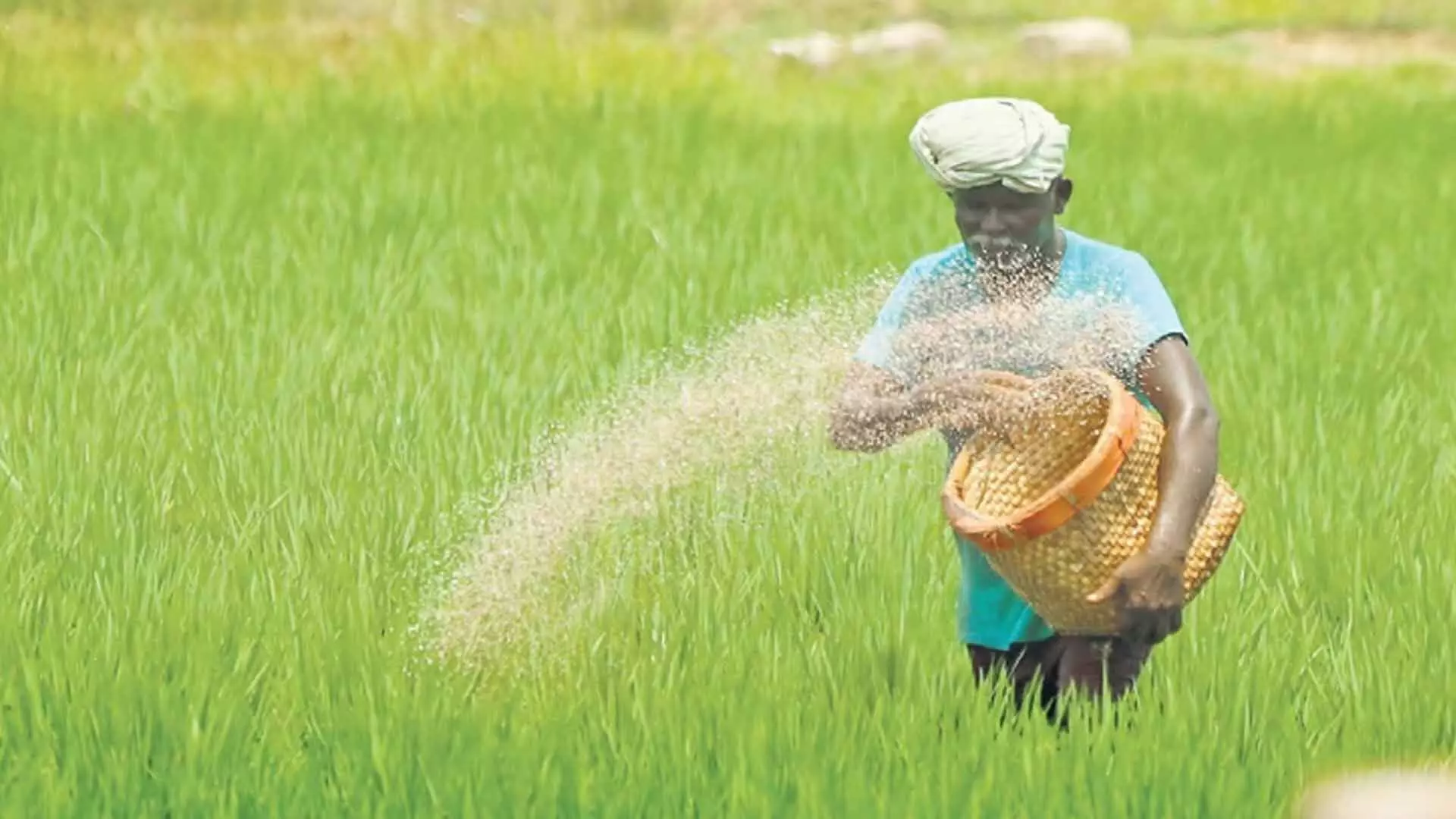 Tamil Nadu: किसान कर्जमाफी और एमएसपी न मिलने से परेशान
