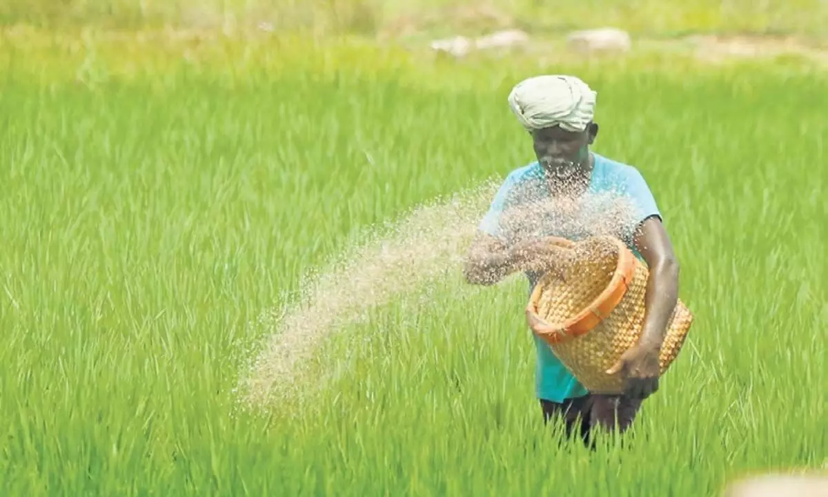 Tamil Nadu: तमिलनाडु के किसान कर्जमाफी और एमएसपी न मिलने से परेशान