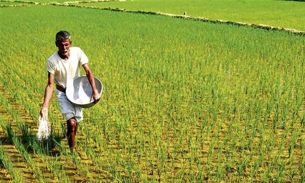 HARYANA: किसानों को राहत देने के लिए बीमा कम्पनियों का चयन