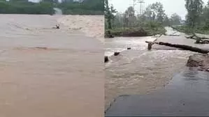 बाढ़ का कहर: डूबे कई गांव, बही 15 गायें, देखें मंजर