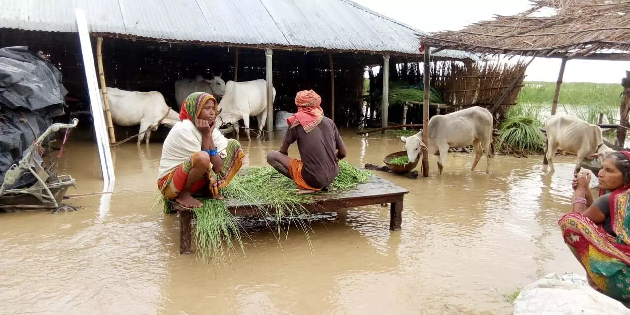 central government ने कई राज्यों में बाढ़ राहत के लिए विशेष आवंटन