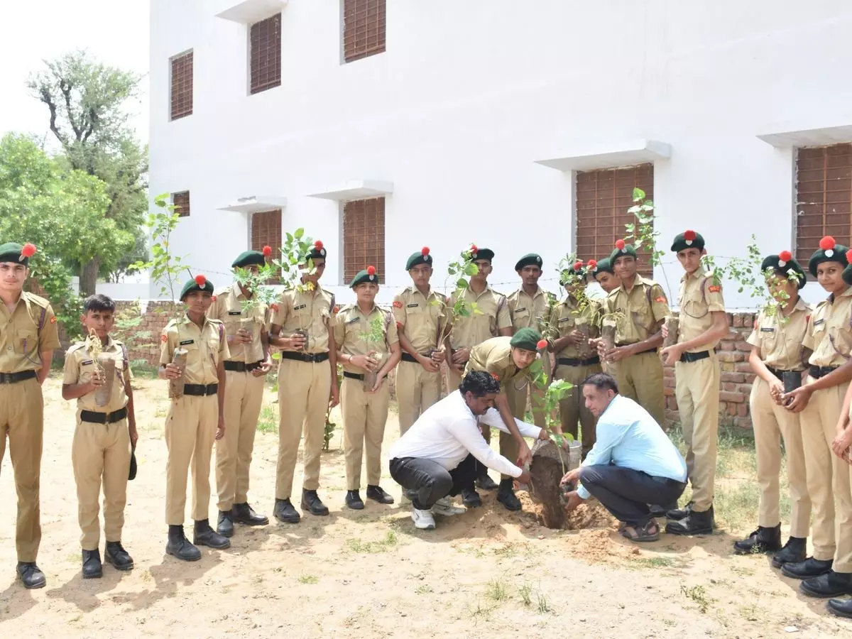 Jhunjhunu: न्यू राजस्थान स्कूल में एनसीसी कैडेट्स ने लगाए पौधे