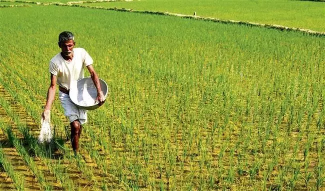 Haryana के किसानों को राहत देने के लिए बीमा कंपनियों का चयन