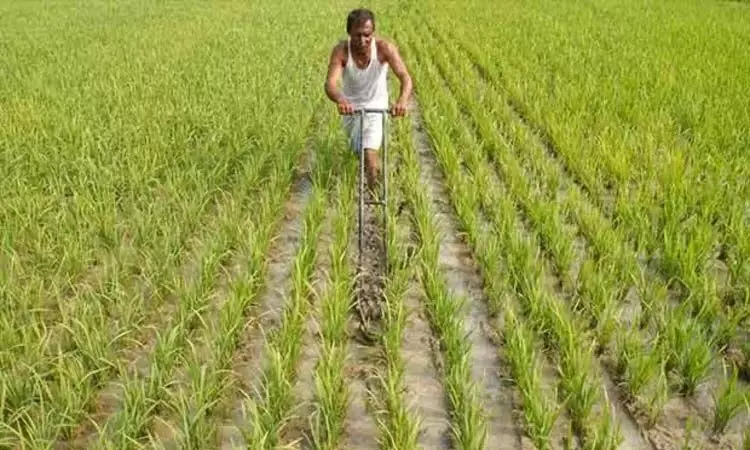 Tamil Nadu के डेल्टा किसानों ने जैविक खेती के कदम का स्वागत किया