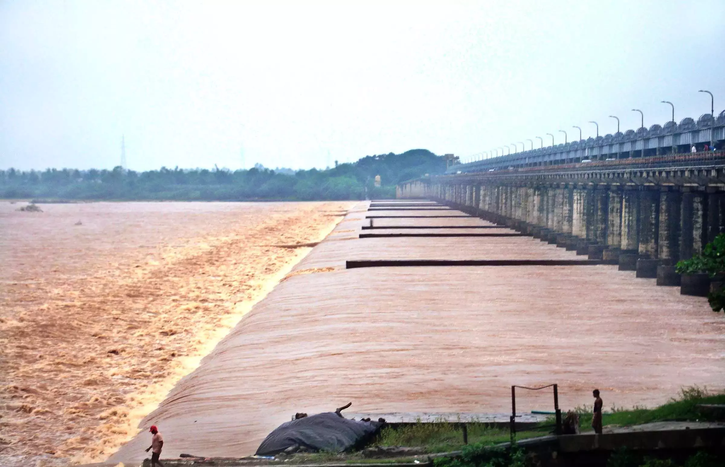 Godavari का जलस्तर बढ़ रहा, 100 गांवों पर बाढ़ का खतरा
