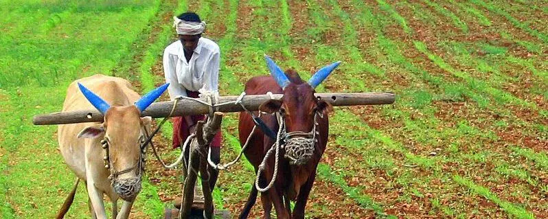 वित्त मंत्री कृषि क्षेत्रों के लिए Rs 1.52 लाख करोड़ के आवंटन की घोषणा