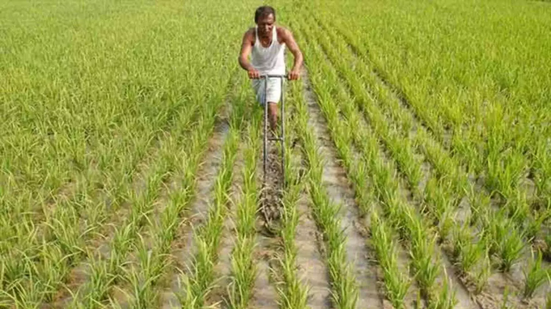 Budget 2024: तमिलनाडु के डेल्टा किसानों ने जैविक खेती के कदम का स्वागत किया