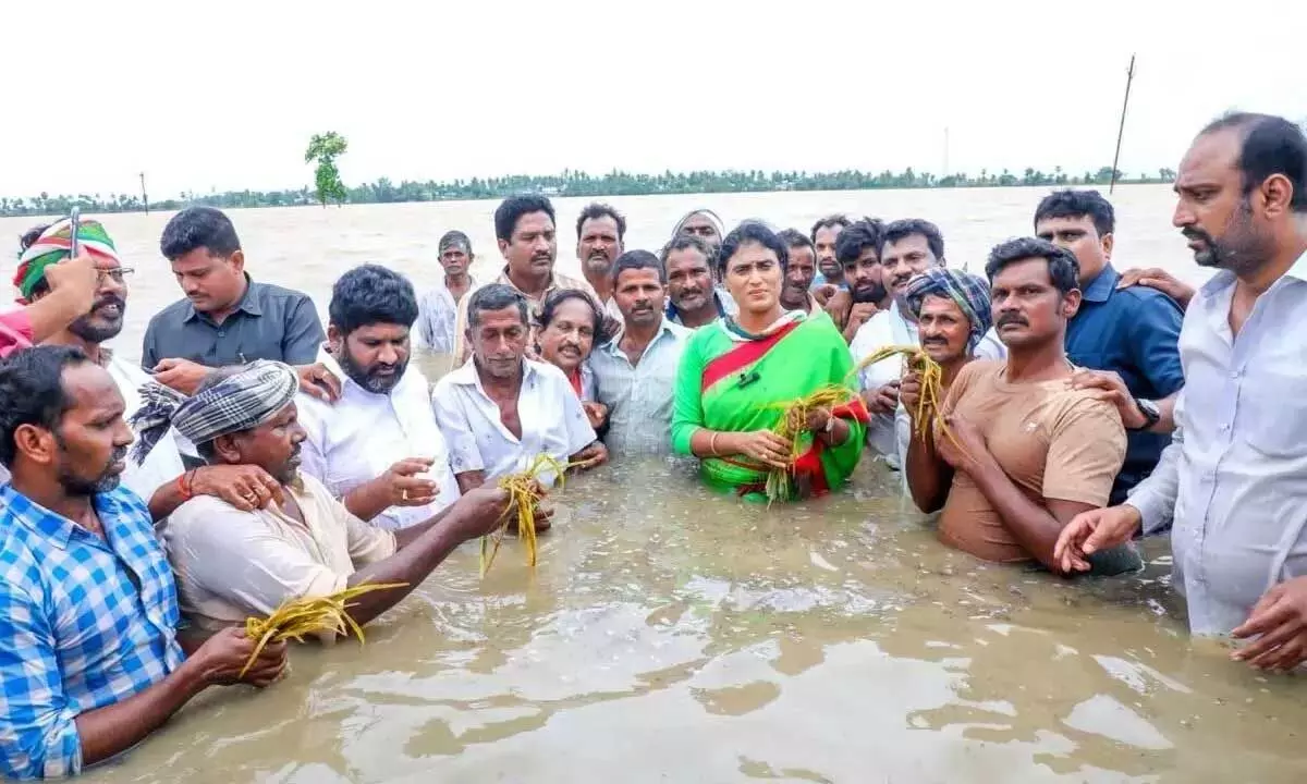 Sharmila ने जलमग्न फसलों का निरीक्षण किया