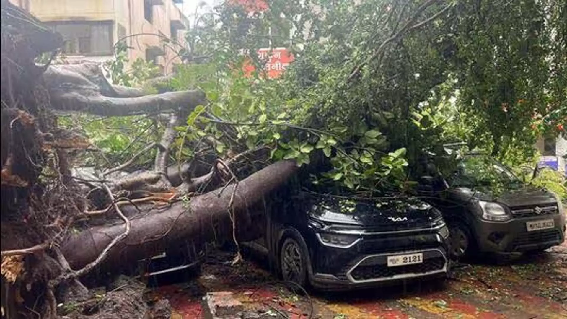 Pune: पुणे में बारिश, गिरे पेड़ और डूबी सड़कें यातायात को प्रभावित कर रही