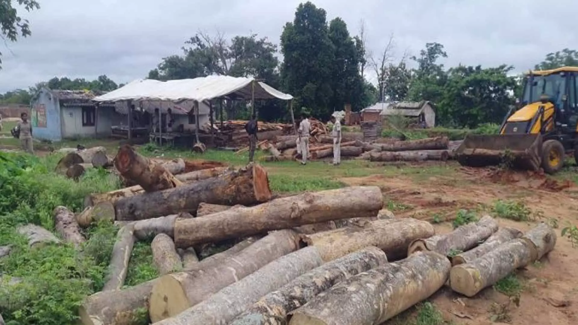 Keonjhar: भारी मात्रा में लकड़ी जब्त, 5 लोग गिरफ्तार
