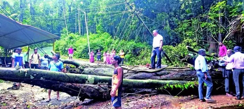 A matter of seconds: धावलीम में कटहल के पेड़ से टकराने से छात्र बाल-बाल बचे