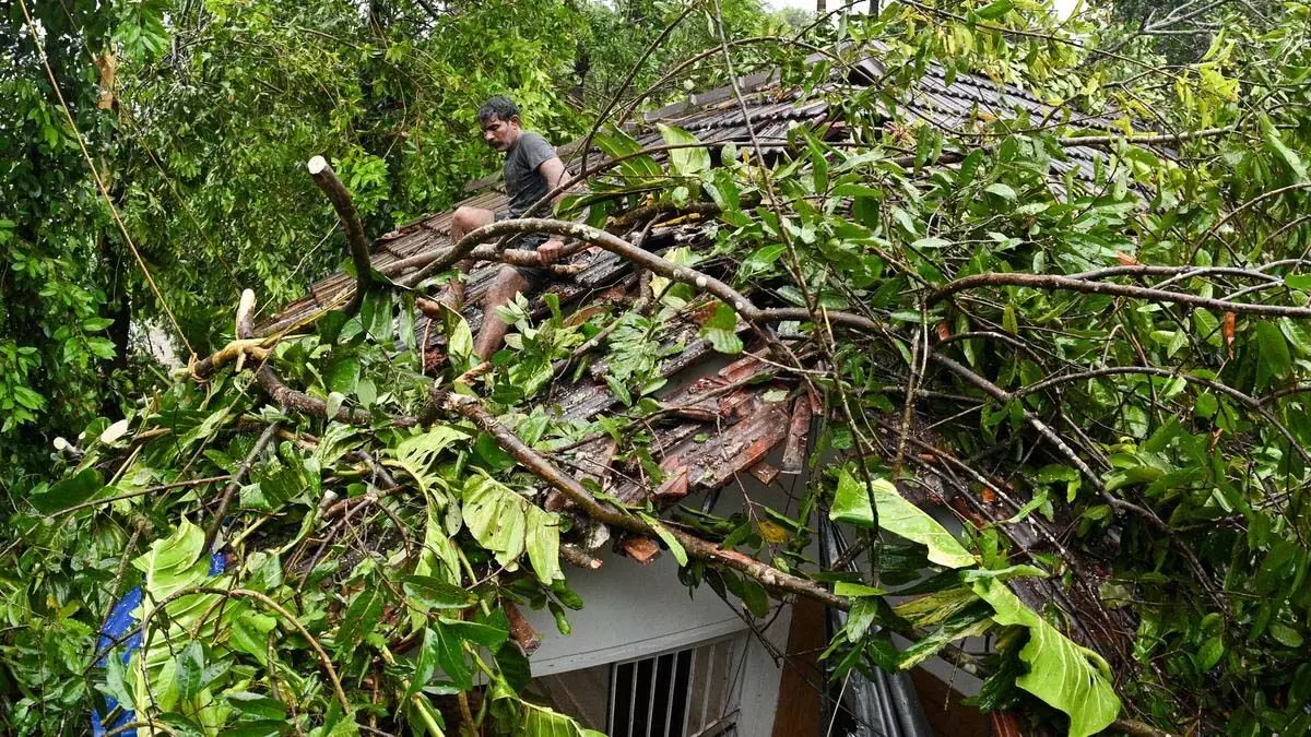 Kozhikode में तूफान से मकान क्षतिग्रस्त, पेड़ उखड़ गए
