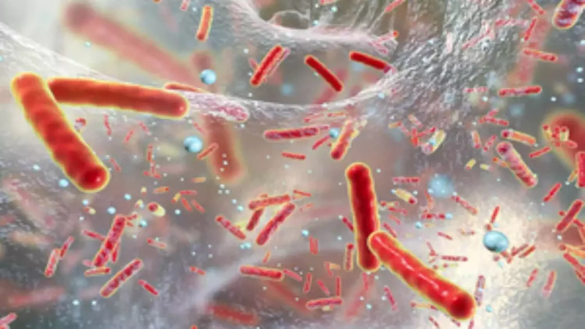 नया Antibiotic बैक्टीरिया के प्रतिरोध को बना सकता है असंभव