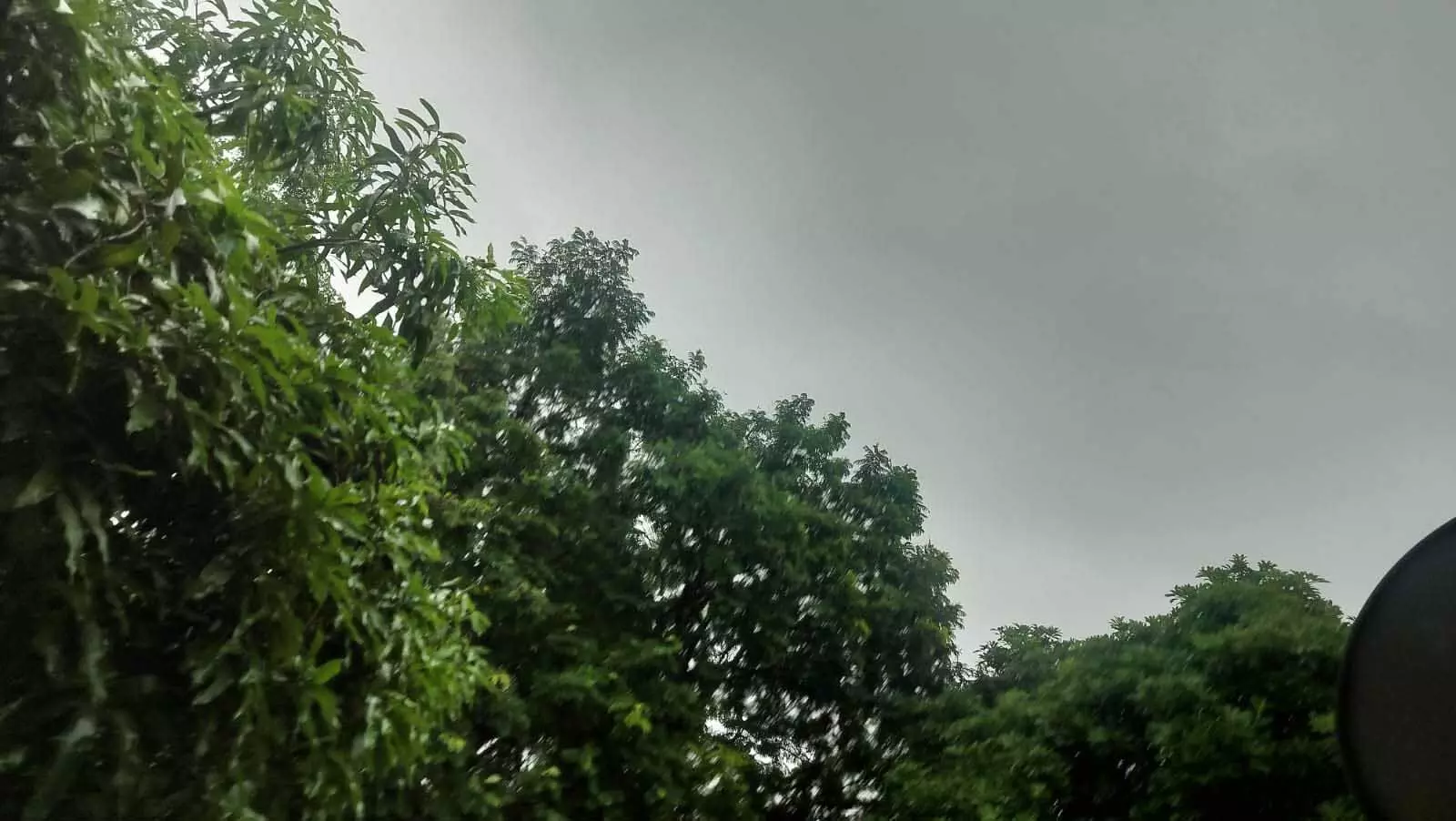 CG में नदी-नाले उफान पर, रायपुर में हो रही भारी बारिश