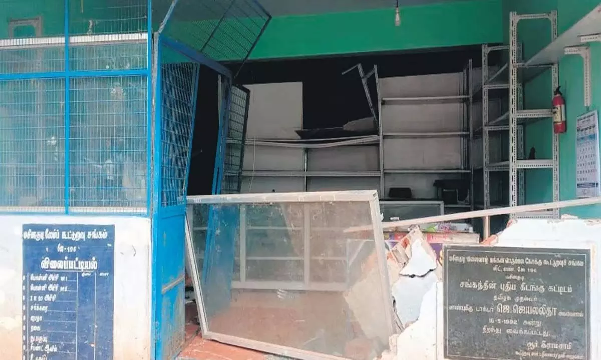 Tamil Nadu: जंबो ने दुकान में घुसकर 30 मिनट में 75 किलो इमली खा ली