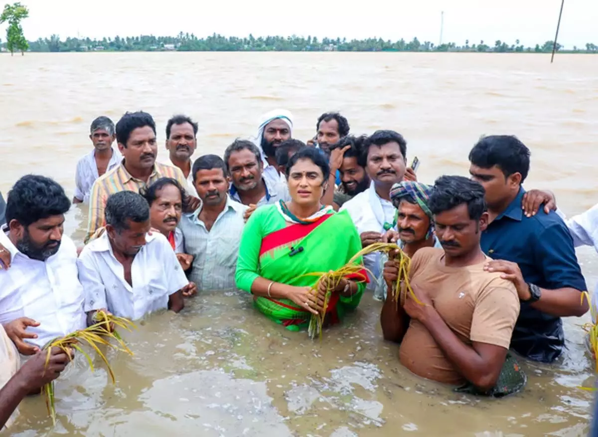 Andhra : शर्मिला ने सीएम से आंध्र प्रदेश में बाढ़ प्रभावित किसानों को बचाने का आग्रह किया