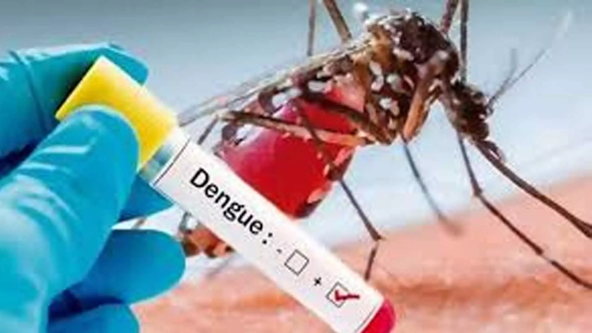 Singapore में पहली छमाही में डेंगू से 13 मौतें हुईं